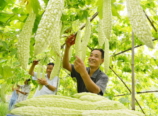 �ųɸ����ڲ�ժ��ϡ� 