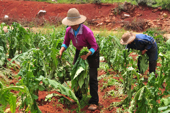 �Შ���Ⱥ�������ռ��������Ҷ