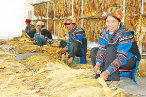 丰收的喜悦 丰收的喜悦