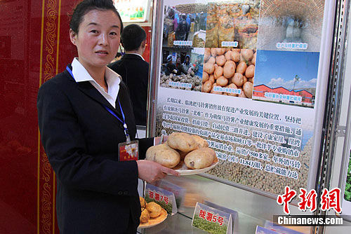 ���ඨ��С�����ܴ��ôӾ�������Ϊ�¸���