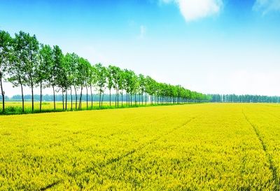 �����Ͼ���ɫ�Ķ������ִ�ũҵ֮·