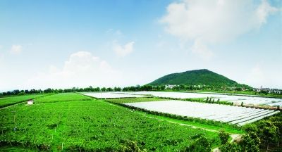 �����Ͼ���ɫ�Ķ������ִ�ũҵ֮·