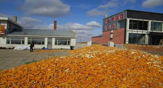 2012��������＾������ũ��Ʒ���챨��