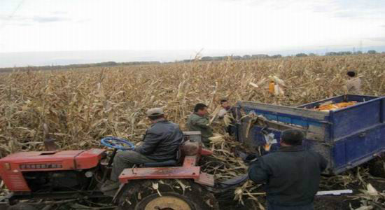 2012��������＾������ũ��Ʒ���챨��