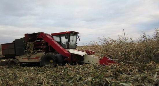 2012��������＾������ũ��Ʒ���챨��