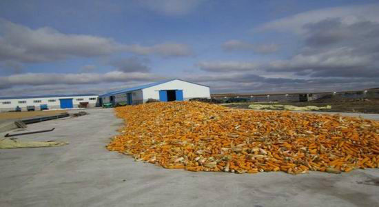 2012��������＾������ũ��Ʒ���챨��(2)