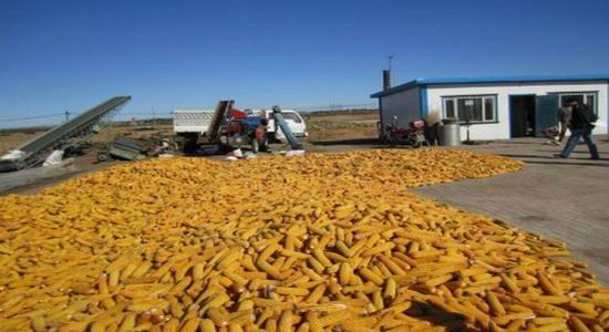 2012��������＾������ũ��Ʒ���챨��