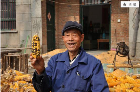 Լҵİֶհϳϡ飬ʶֲ˾ϺͣĻϽھӼңôһۿͬʱ涼Щʲô֡