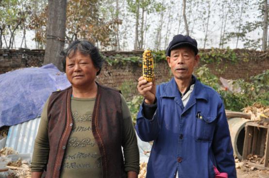 Լҵİֶհϳϡ飬ʶֲ˾ϺͣĻϽھӼңôһۿͬʱ涼Щʲô֡