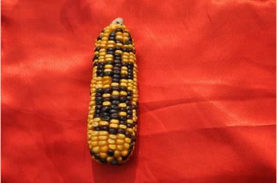 ʱ˾ڿ˾Ϻҵ׺󣬶˾Ϻ˵˵ ҿй 㿴 ҲСй  012ʮ˴Щֶ