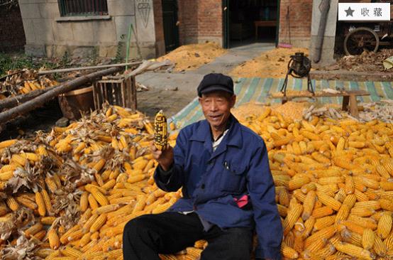 Լҵİֶհϳϡ飬ʶֲ˾ϺͣĻϽھӼңôһۿͬʱ涼Щʲô֡