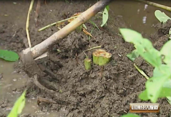 ս̳ո Ʒҵ3000ԪƵͼ