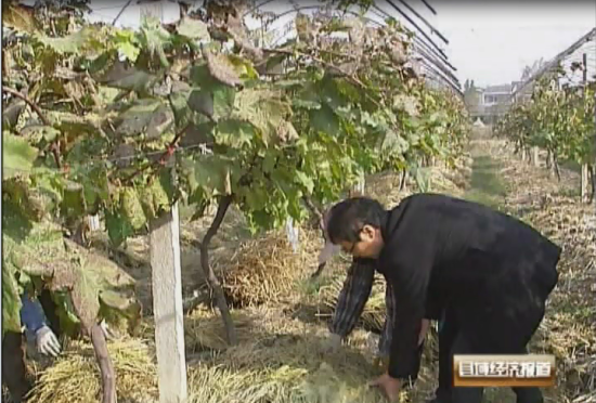 ս̳ո Ʒҵ3000ԪƵͼ