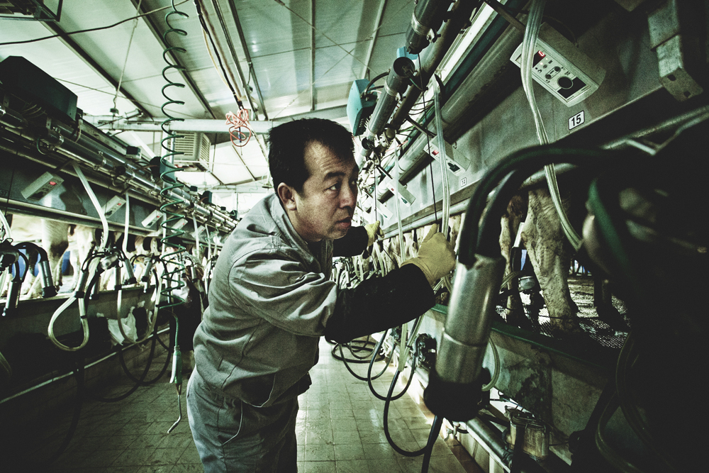 ��Ϊ�������Թ����ܹ�����ţ�Ĳ�����������ʱ��������ϸ������ʾ�����ļ��������鿴�������Ƿ�������