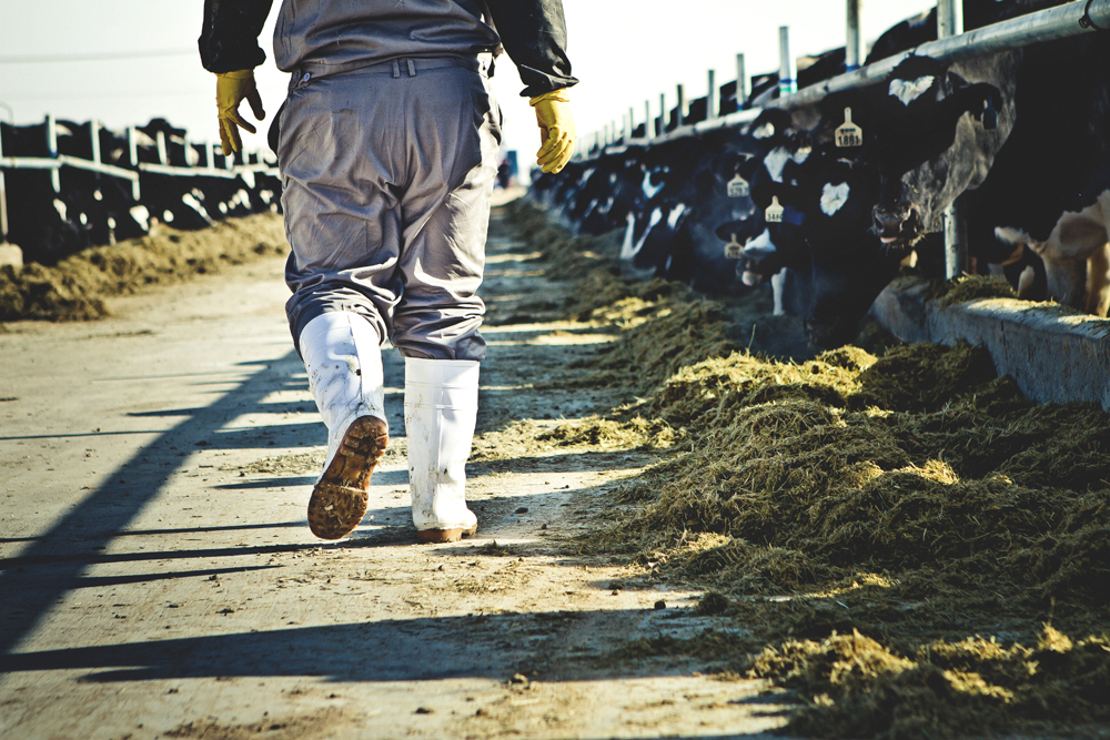 Ϧ�����²�����һ�칤���Ľ�������Ϊ�����Ĺ�����ÿ��24Сʱ�ܶ���ʼ�ġ��Թ���˵������ţ���ѵ��������ظ���������·�������������飬���һ����������ȥ��