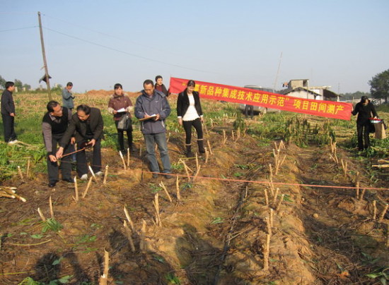 ƽ��ľ��Ķ��6003.5����ˢ�¹���ľ��Ķ���¼�¼