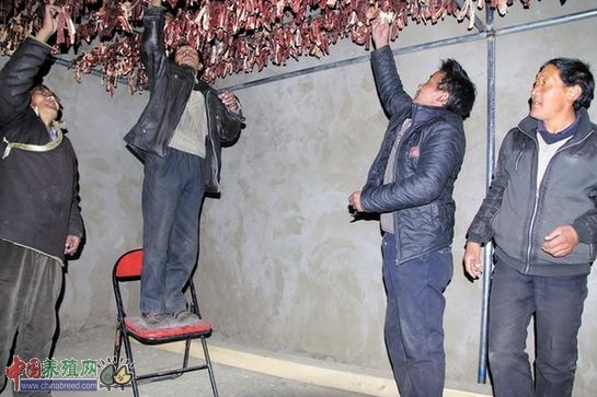 ������������ɫ���ţ��