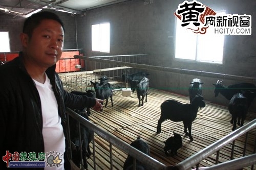 罗田政协委员积极支持青年创业