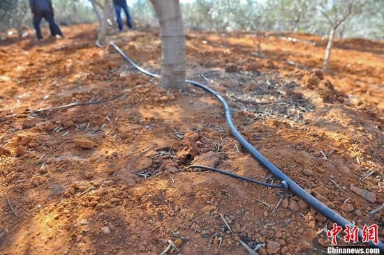 ͼΪ�õι༼����ֲ����魡�