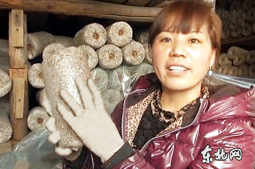 张晶为村民详细介绍菌种种植知识。