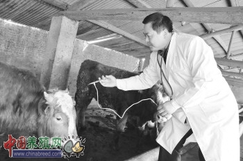 ��Ӫ��������վվ��������ļ��غ�����