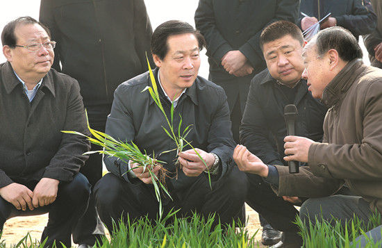 抢抓春耕生产创新经营机制加快推进农业现代化建设