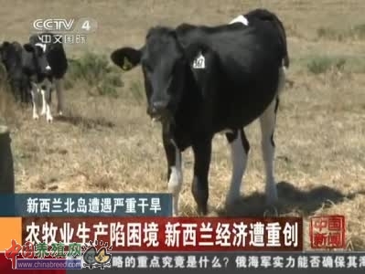 Ȼȫ̷֬۳ɽ۴ʷ¸ߣͼ1