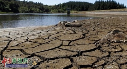 Ȼȫ̷֬۳ɽ۴ʷ¸ߣͼ3