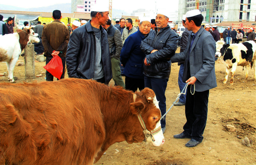 �żҴ�ţ���ģ��ֳҵ����ţ����