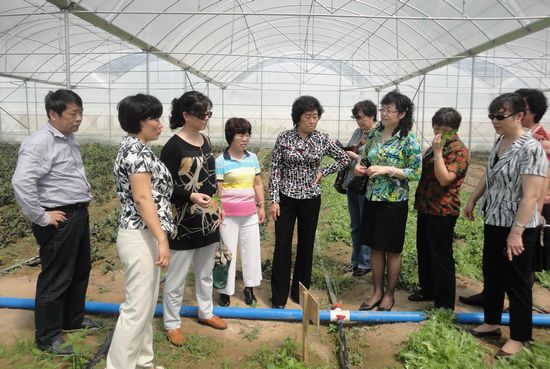 ũҵίչִũҵƼ硱