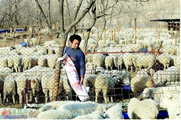 ������С�����������������������