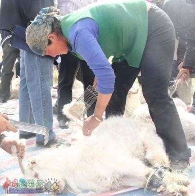 �½���˶�ؾٰ���ɽ����ޱ����ֳ���