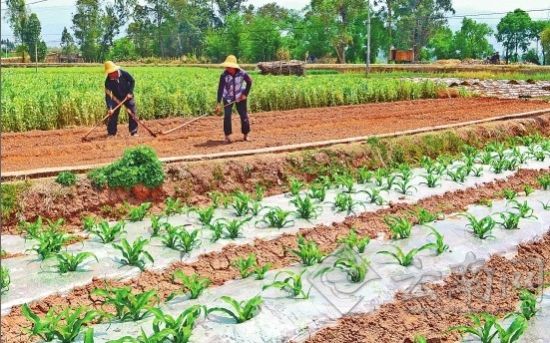 ΡɽزȡЧʩץչ֡յȴͼΪΡɽگ˺̳лʱ׼