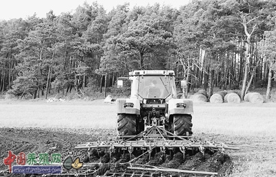 19岁的大儿子马克西正开着拖拉机在田里平整土地。