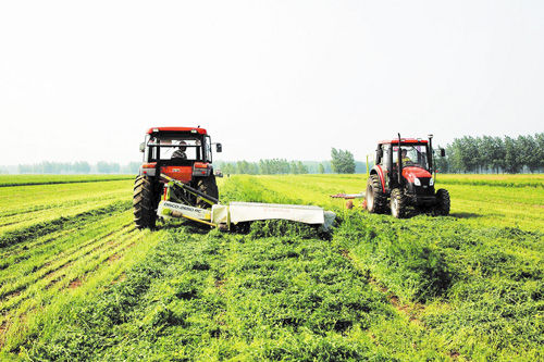 �ִ�ũҵ��ȼ��������ġ���ɫ���롱