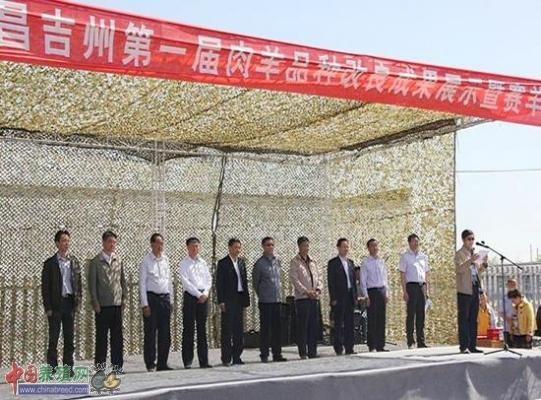 �½������׽�����Ʒ�ָ����ɹ�չʾ��ٰ�