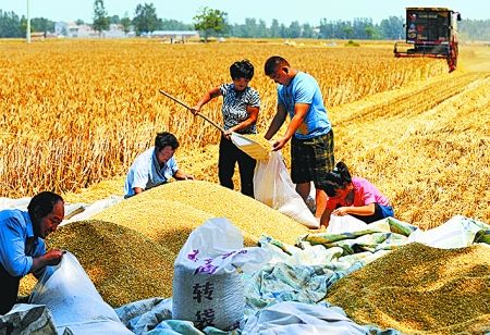  68գ·ũҵСĶ߲ʾƬڣС