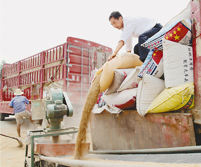 抢收到手,颗粒归仓。图为河南内乡县的麦农在出售小麦。