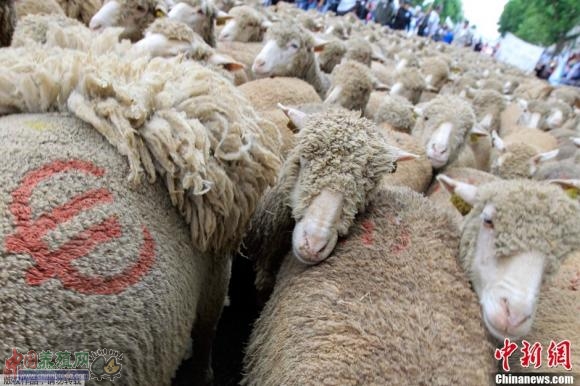 ����ʱ��2013��6��23�գ��������裬ũ����ż������Ͻ�ͷ�������������ǵ�ũ��Ʒ�۸��ʳƷ��ȫ�����⡣