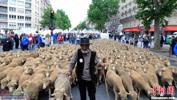 ����ʱ��2013��6��23�գ��������裬ũ����ż������Ͻ�ͷ�������������ǵ�ũ��Ʒ�۸��ʳƷ��ȫ�����⡣