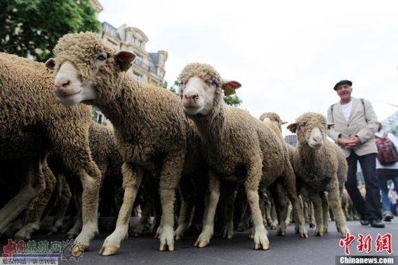 ����ʱ��2013��6��23�գ��������裬ũ����ż������Ͻ�ͷ�������������ǵ�ũ��Ʒ�۸��ʳƷ��ȫ�����⡣