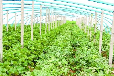 ����һ��