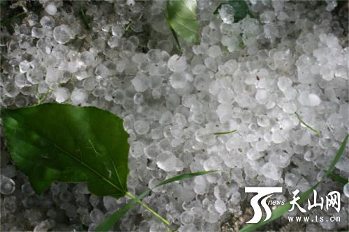 ��ʮ����2.2����Ķũ���������ش���