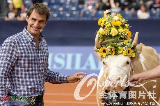 费德勒收到的礼物,一头叫Desiree的奶牛。