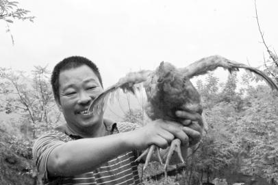 ���󸻺����ġ����Ӽ���