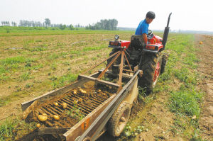 农村瓜果蔬菜“对接”城里社区又新鲜!又便宜!