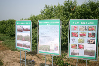 中国农科院与河南省共同打造中原地区发展现代农业的强大引擎(图:4)