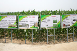 中国农科院与河南省共同打造中原地区发展现代农业的强大引擎(图:2)