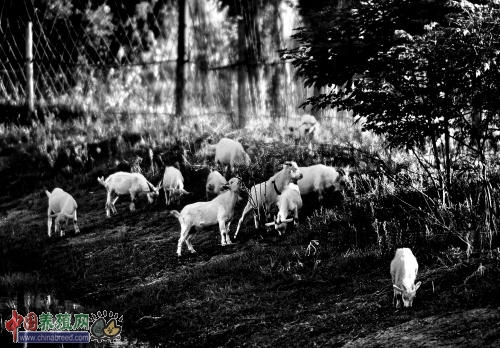 �㽭���ˣ���Ϻרҵ�� ������ɽ��