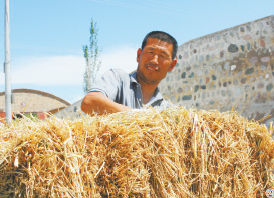 八十三团职工肖连富在整理饲草料(摄于8月10日)